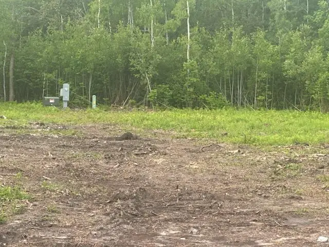 TBD 500th Avenue, Salol, MN 56756 - Image #2