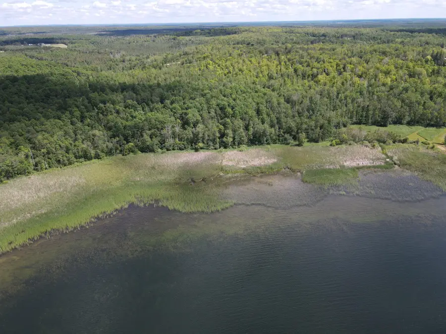TBD 672nd Lane, Hill Lake, MN 55748 - Image #3