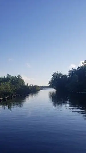 TBD 6 Lake Ave S Avenue, Tower, MN 55790 - Image #1