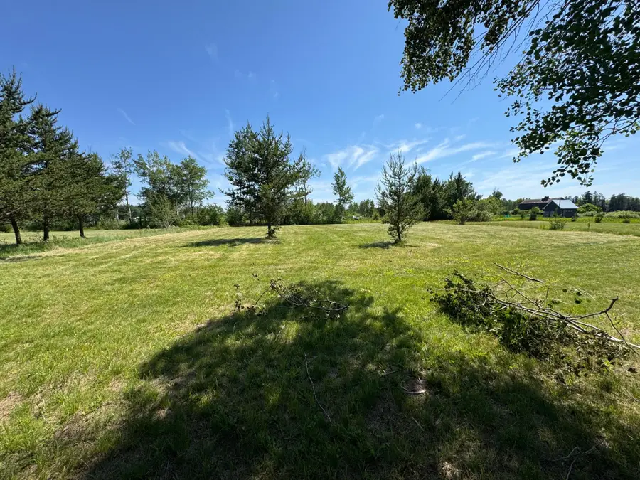 TBD-Lot B Burns Street, Bruno, MN 55712 - Image #2