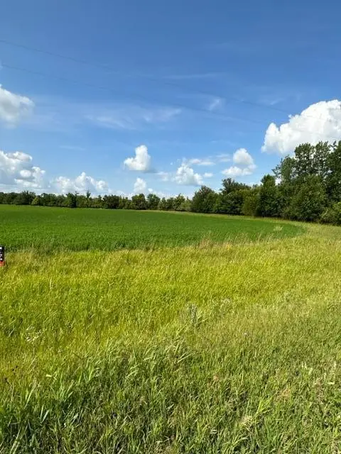 TBD Sorteberg Drive, Thief River Falls, MN 56701 - Image #3