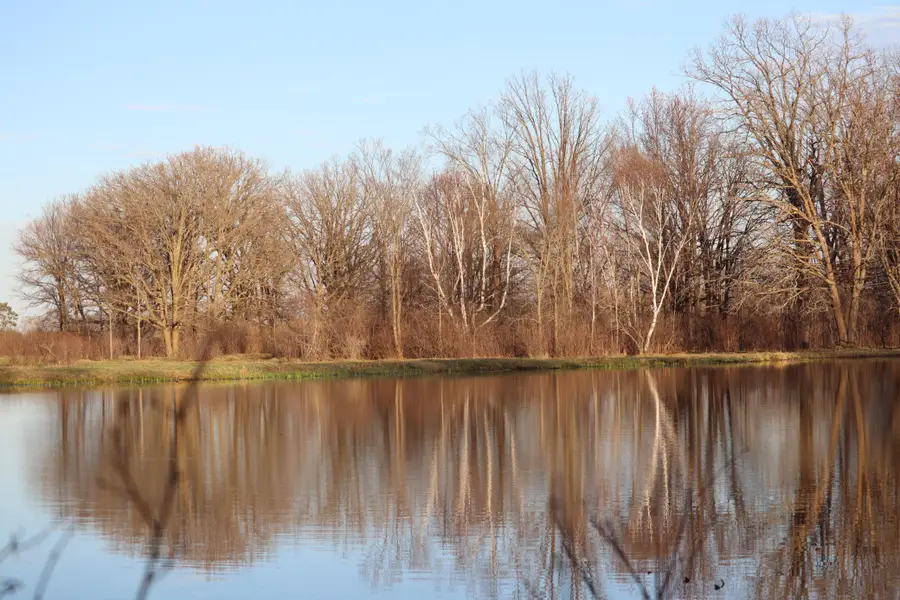 TBD 60th Street Sw, Maple, MN 56472 - Image #2