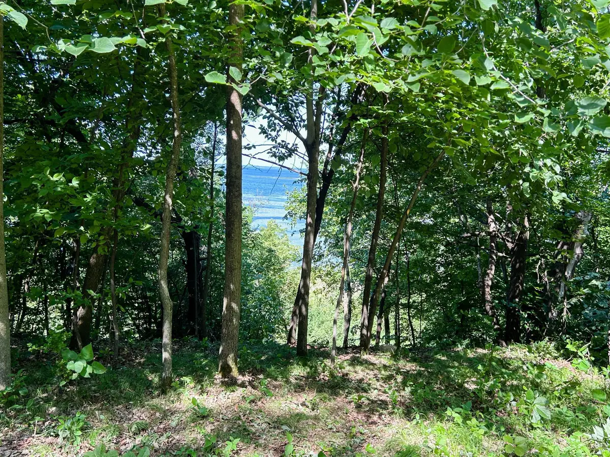 49137 360th Street, Otto, MN 56567 - Image #1