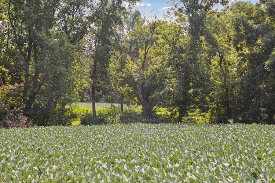 24x1 Holy Name Drive, Medina, MN 55340 - #2