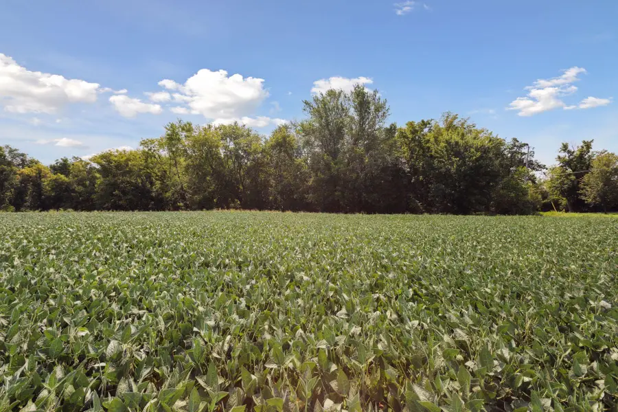 24x4 Holy Name Drive, Medina, MN 55340 - #2