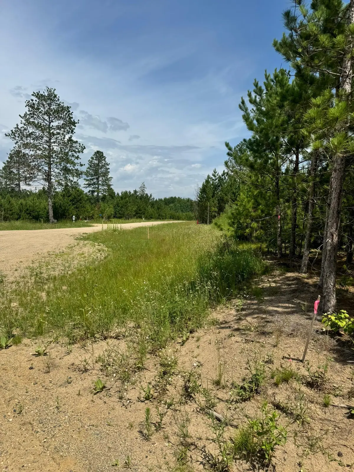 TBD4 Destination Drive, Nevis, MN 56467 - Image #1