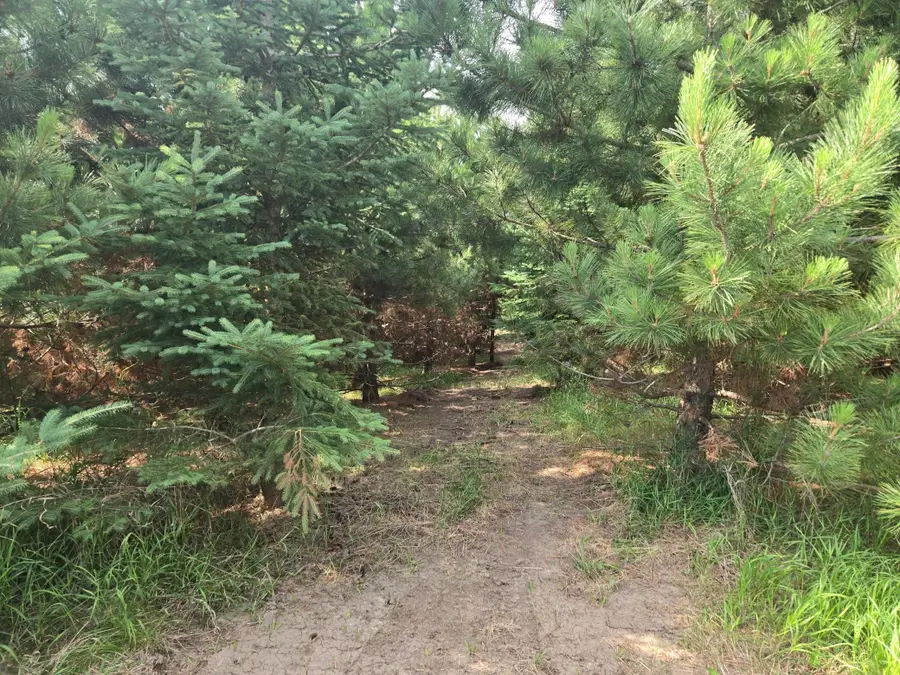 20332 County Highway 25, Detroit Lakes, MN 56501 - Image #3