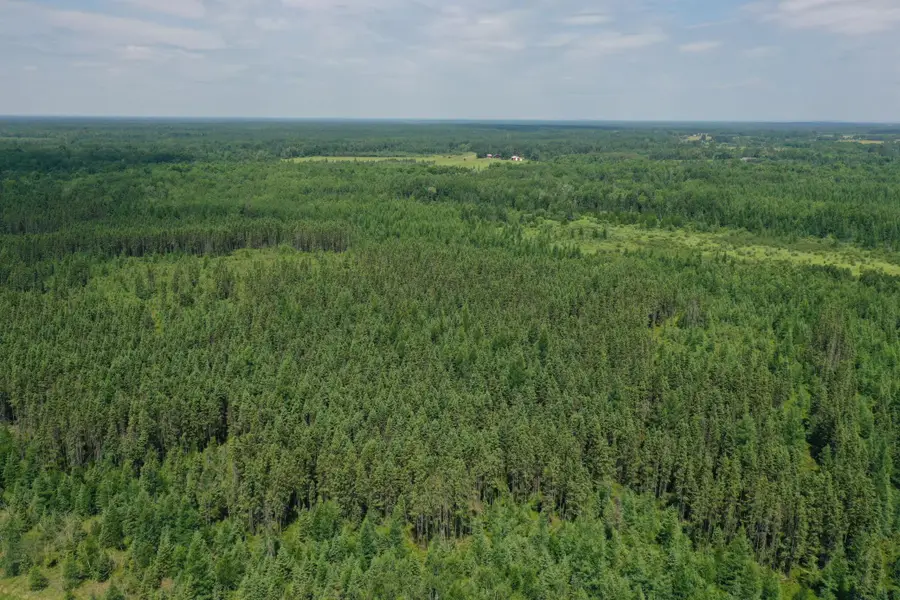 TBD Arkola Rd., Cotton, MN 55724 - Image #3