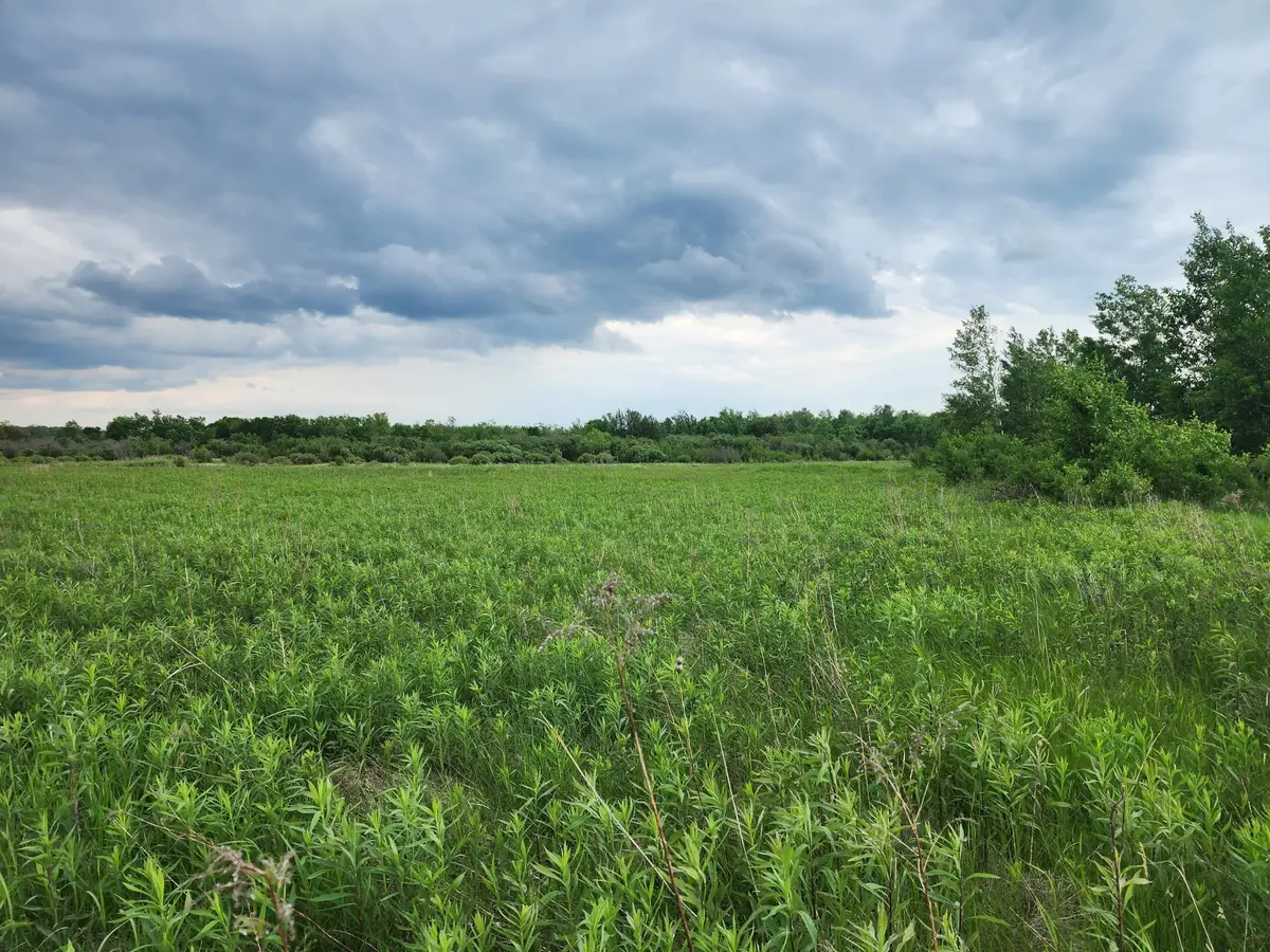 TBD Rice Road, Mission Creek, MN 55037 - Image #1