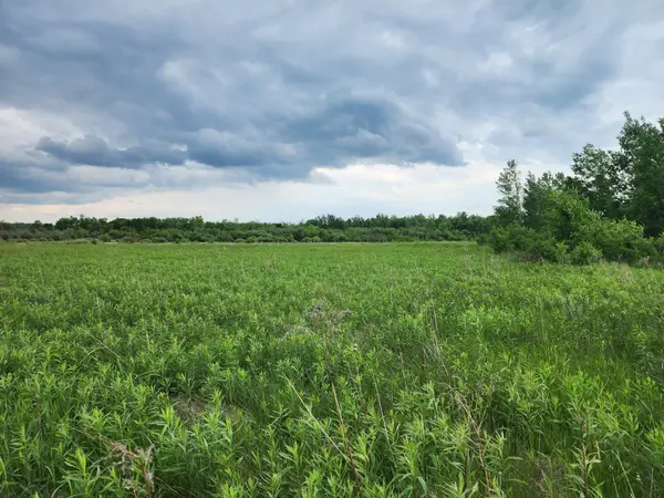 TBD Rice Road, Mission Creek Twp, MN 55037