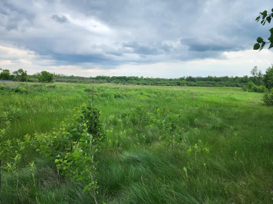 TBD Rice Road, Mission Creek, MN 55037 - Image #2