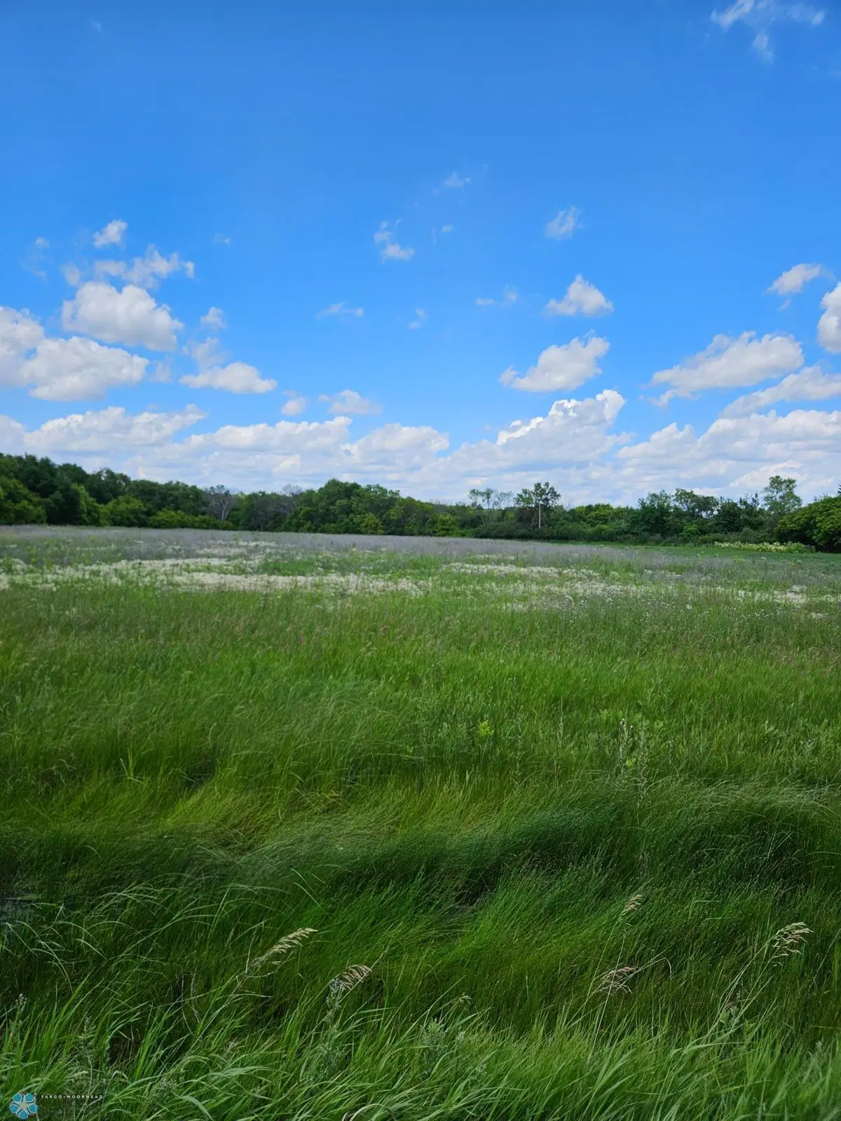 00 75th Street Se, Dwight, ND 58075 - Image #1