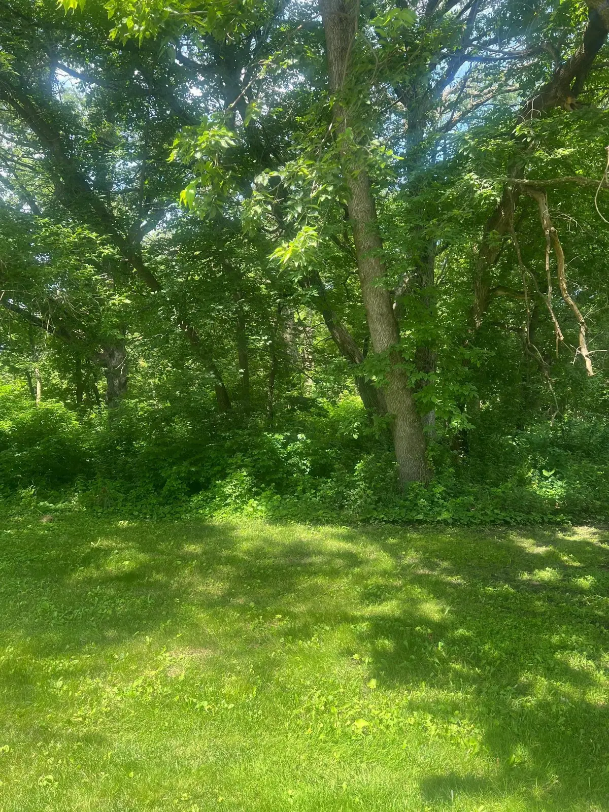 TBD Lot 2 Envelope 1 Baycrest Road, Glenwood, MN 56334 - Image #1