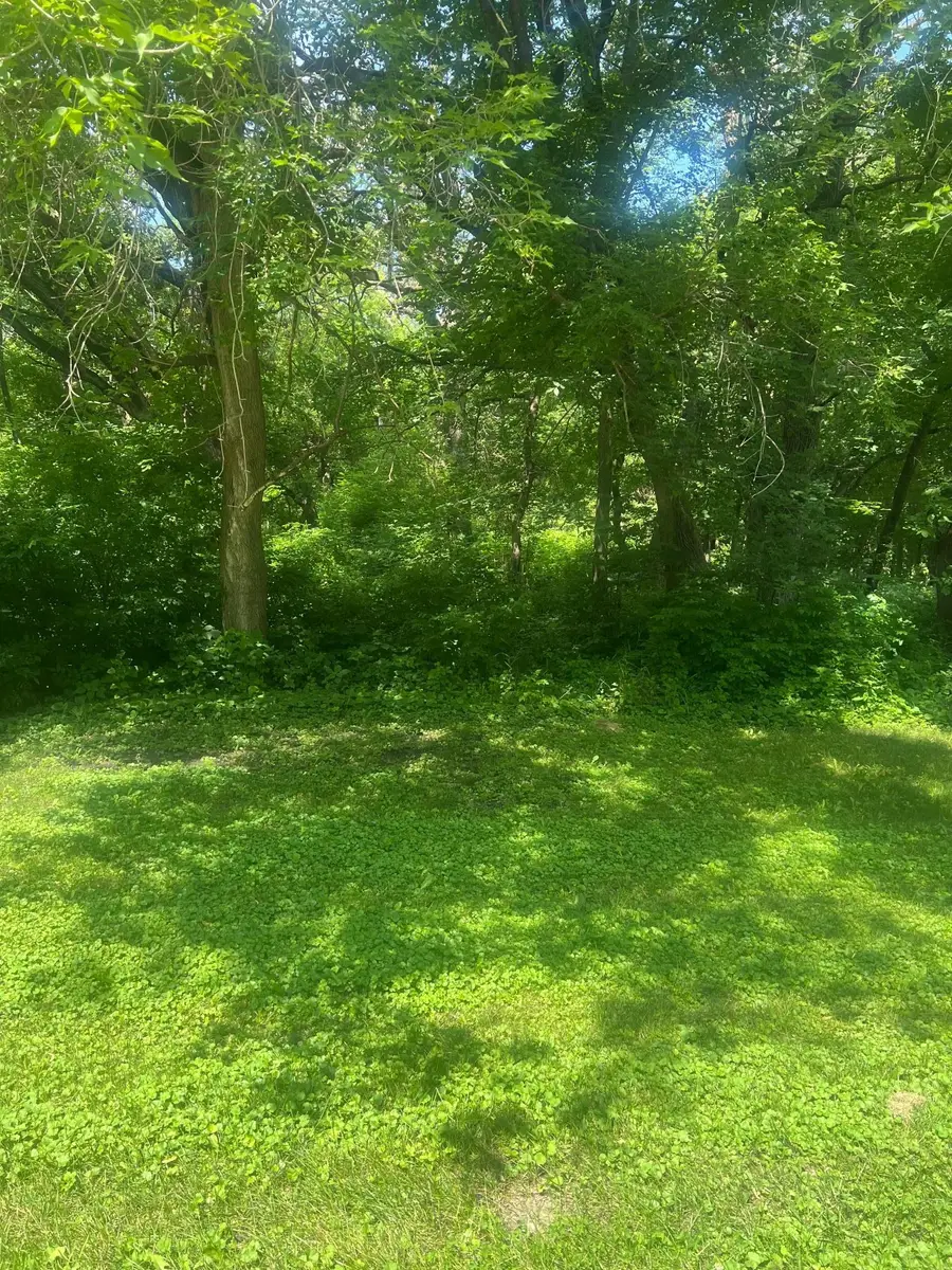TBD Lot 2 Envelope 2 Baycrest Road, Glenwood, MN 56334 - Image #2