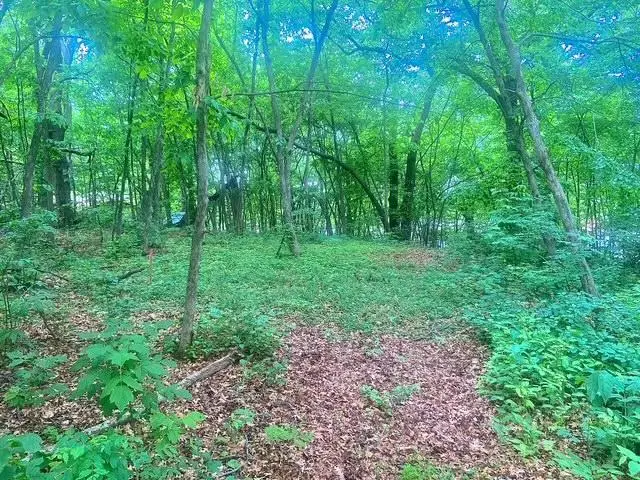 25410 98th Street Nw, Zimmerman, MN 55398 - Image #2