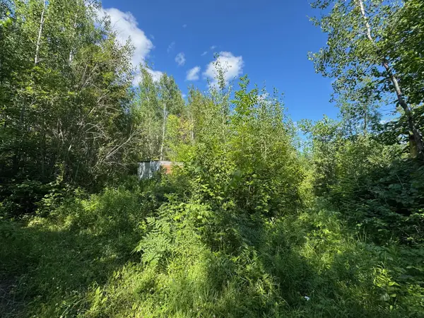 40a Bridgie Road, Northome, MN 56661