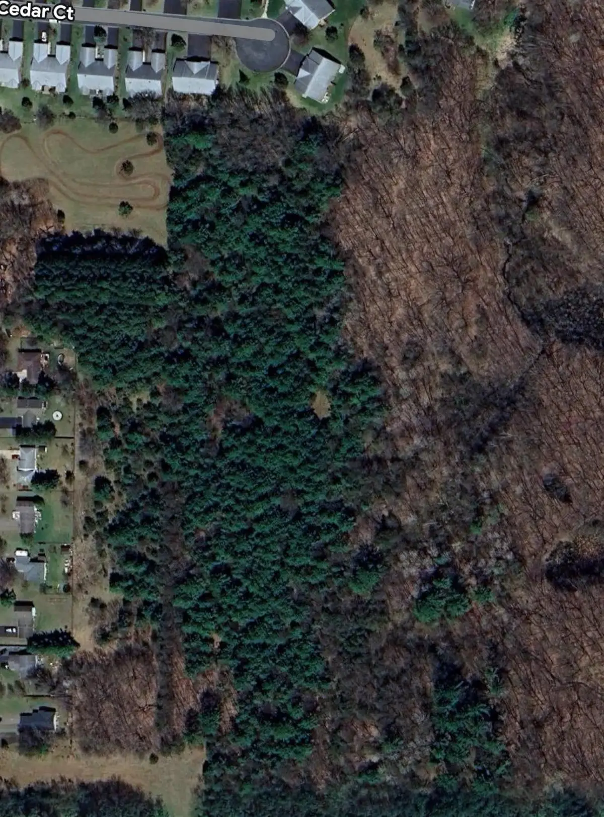 TBD Folsom Street, Shafer, MN 55074 - Image #1