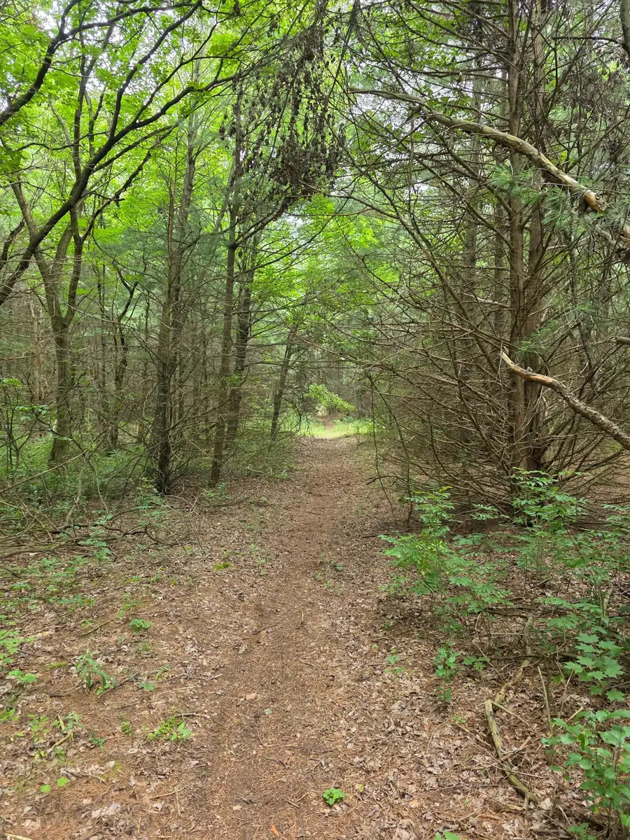 TBD Folsom Street, Shafer, MN 55074 - Image #3