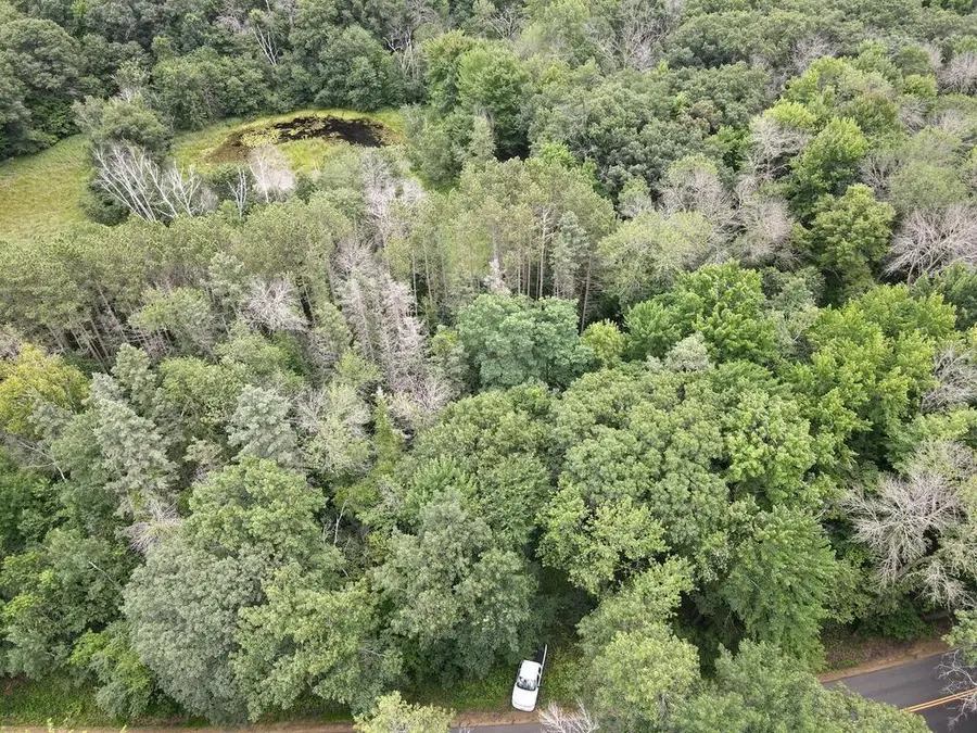 20xxx Maxwill Avenue N, Scandia, MN 55073 - Image #3