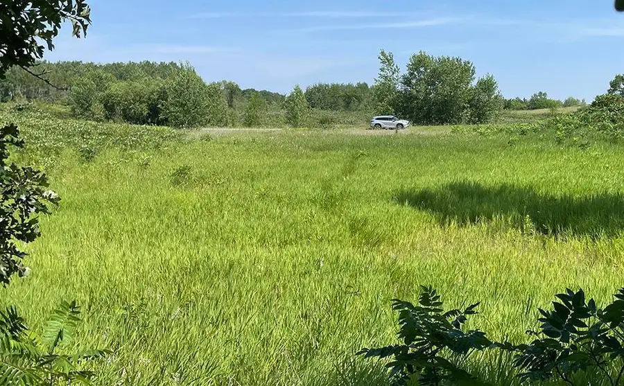 Lot 4 Seclusion Point Road, Dent, MN 56528 - Image #3