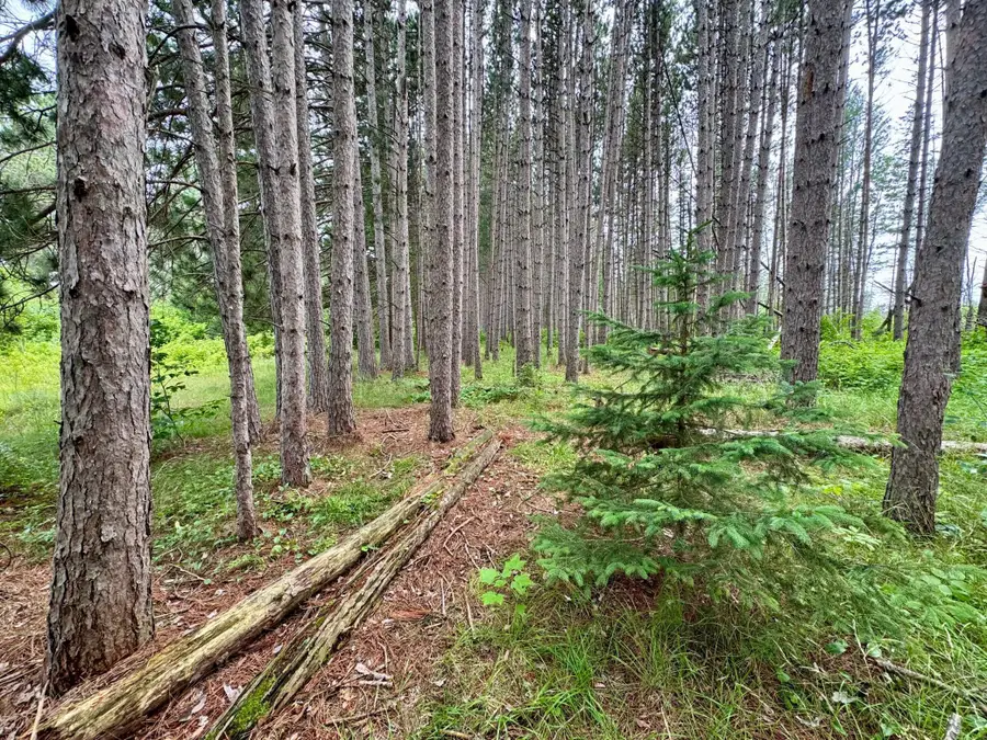 TBD 20th St. SW 20 St. Sw, Bull Moose, MN 56474 - Image #3