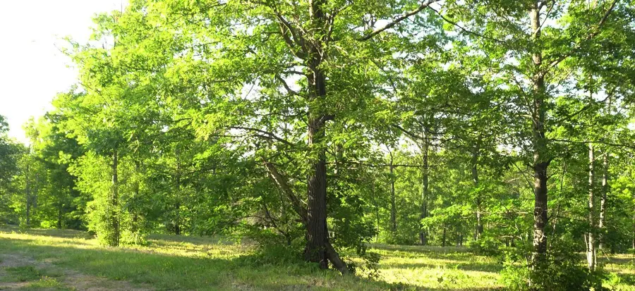 83xxx - Lot 6 Ashwabay Heights Road, Bayfield, WI 54814 - Image #3