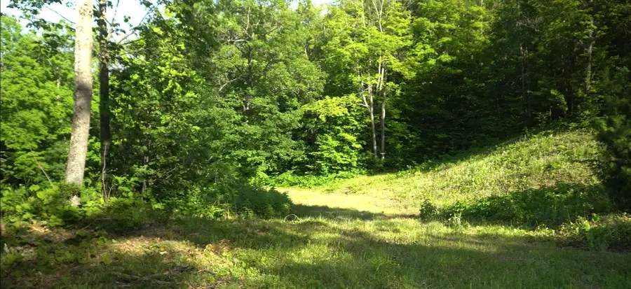 83xxx - Lot 11 Ashwabay Road, Bayfield, WI 54814 - Image #3