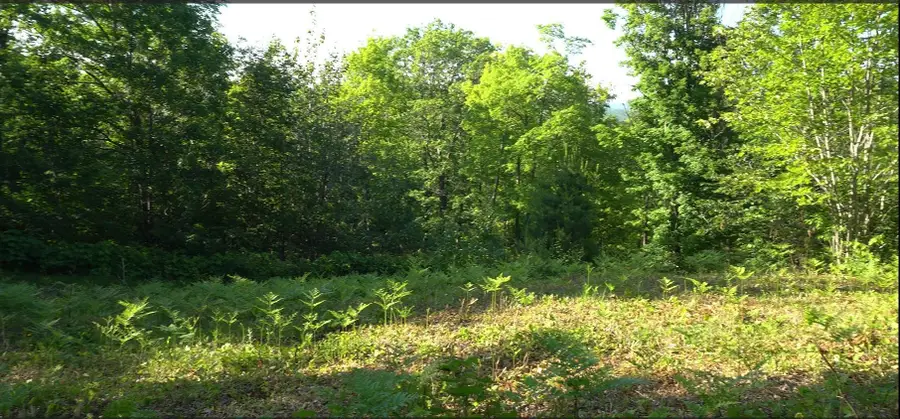 83xxx - Lot 13 Ashwabay Road, Bayfield, WI 54814 - Image #3