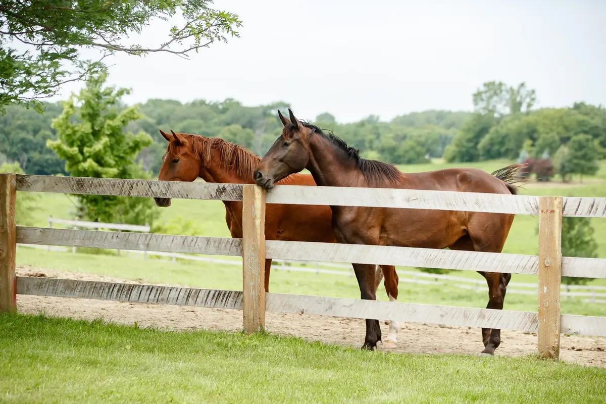 9685 County Road 13 Se, Franklin Township, MN 55328 - Image #1