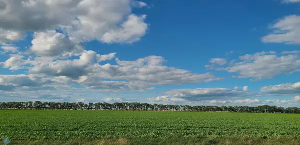 1702 110th St, Wolverton, MN 56594