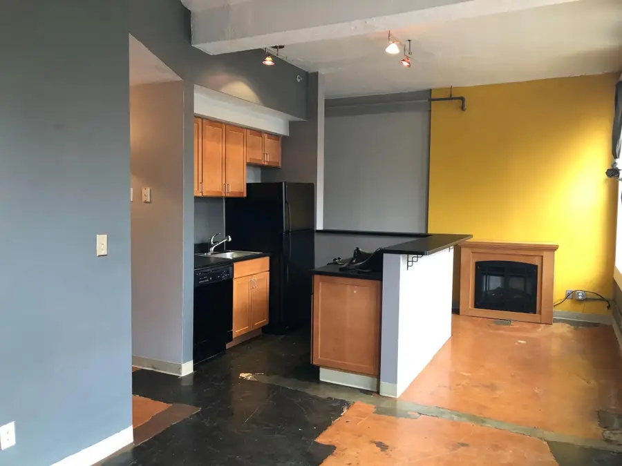 488 Wabasha Street N #201, Saint Paul, MN 55102 - Image #3