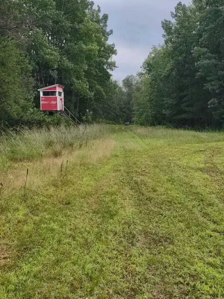 XXXX 159th Avenue, Sebeka, MN 56477 - Image #2