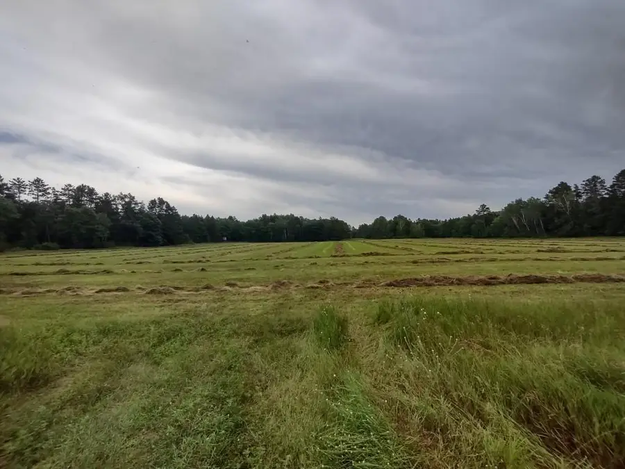 XXXX 159th Avenue, Sebeka, MN 56477 - Image #3