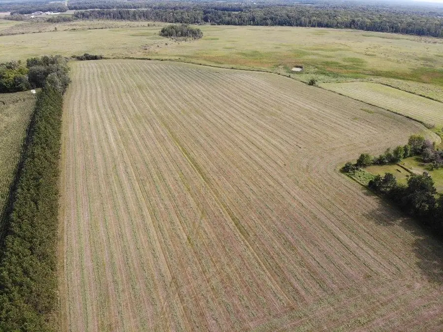 21900 Us Highway 71, Leaf River Township, MN 56482 - Image #3