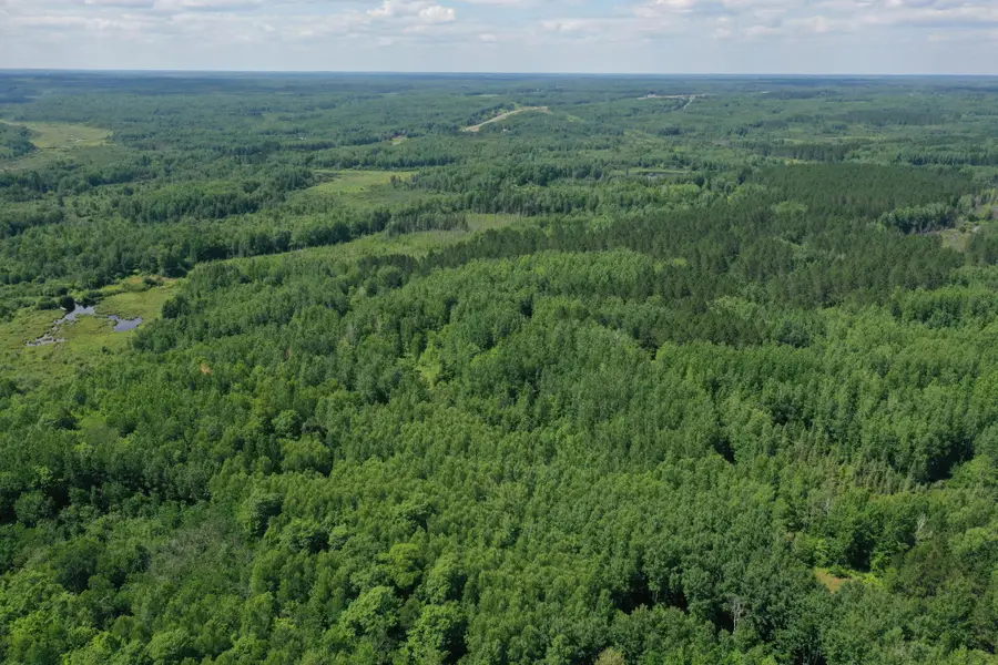 TBD (Option C) Maple Grove Rd., Cloquet, MN 55720 - Image #3