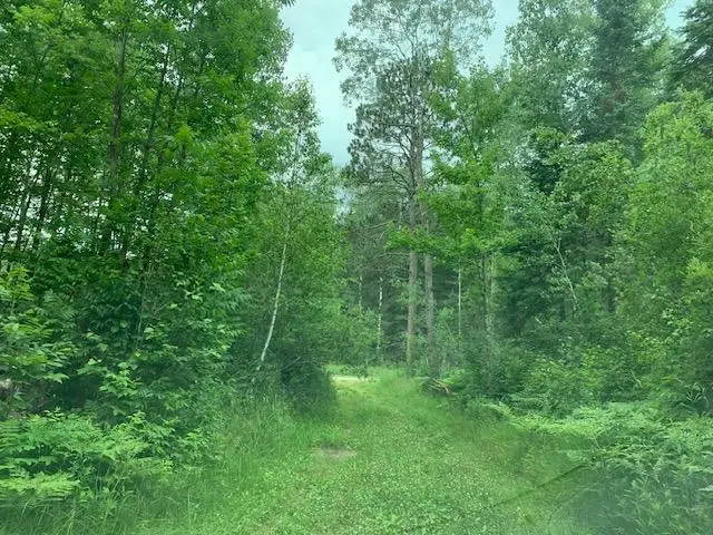 TBD Mushgee Road, Spring Lake, MN 56636 - Image #1