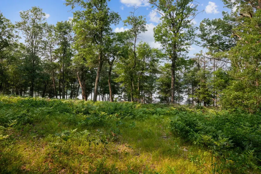 300xx Crystal Lake Drive, Webb Lake, WI 54830 - Image #3