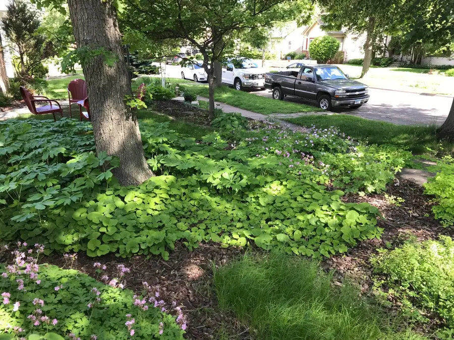 1875 Juliet Avenue, Saint Paul, MN 55105 - #3