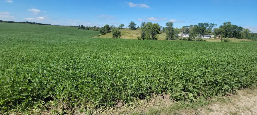 TBD County Highway 15, Detroit Lakes, MN 56501 - Image #2