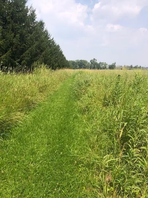 TBD Sunny Acres Road Ne, Belle River, MN 56355 - Image #2