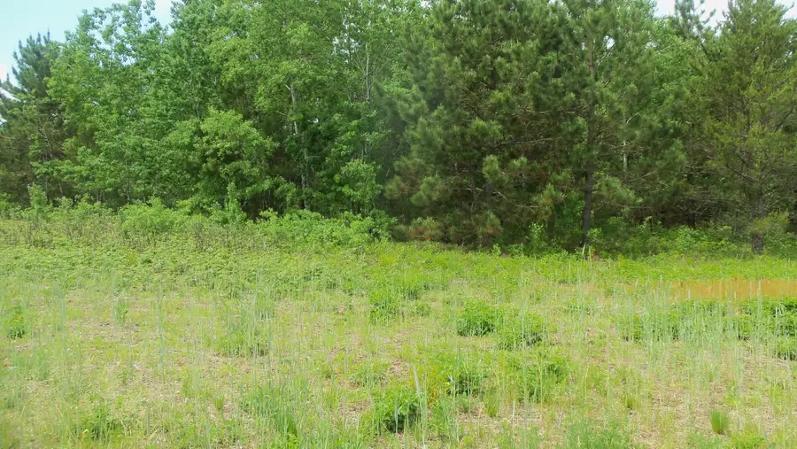 Lot 21 Maple Ln, Meenon, WI 54872 - Image #3