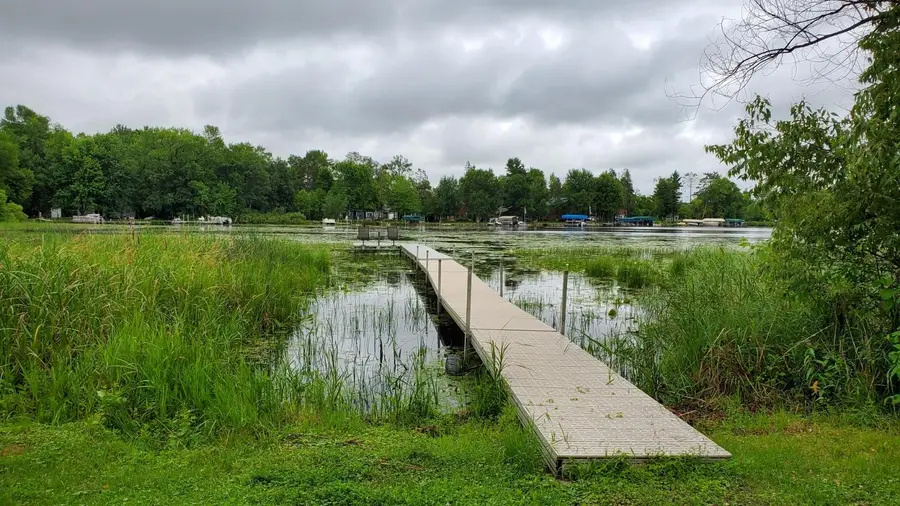 31859 443rd Lane, Palisade, MN 56469 - Image #2