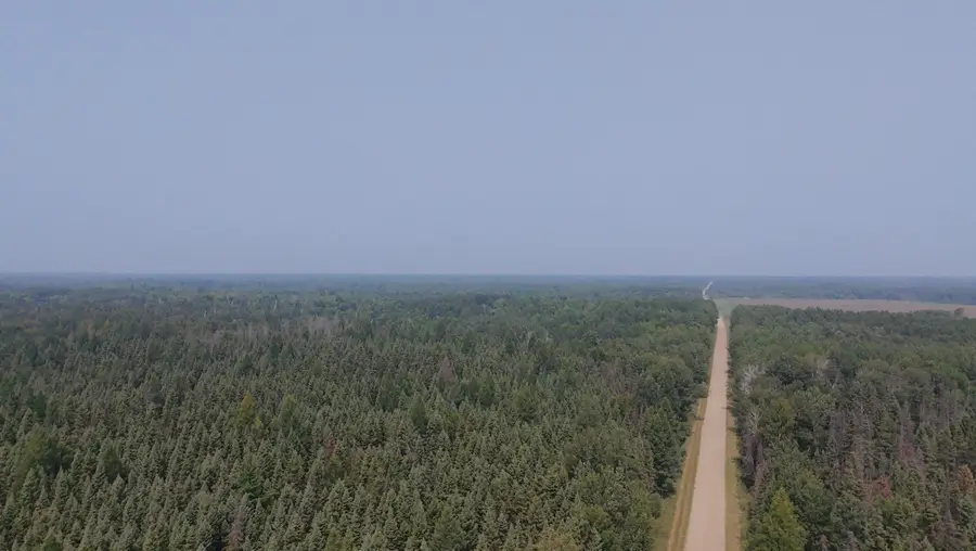 TBD 80 Acres Sunflower Road Ne, Woodrow, MN 56650 - Image #2