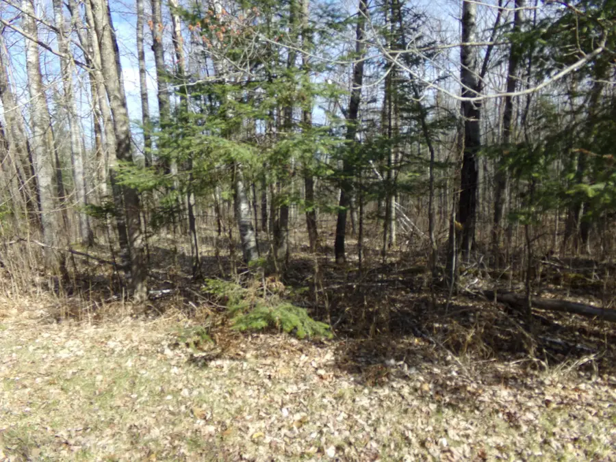 TBD Goshawk Street, McGregor, MN 55760 - Image #3