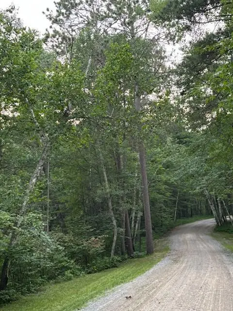 Tbd Hwy 84 Nw, Longville, MN 56655 - Image #2