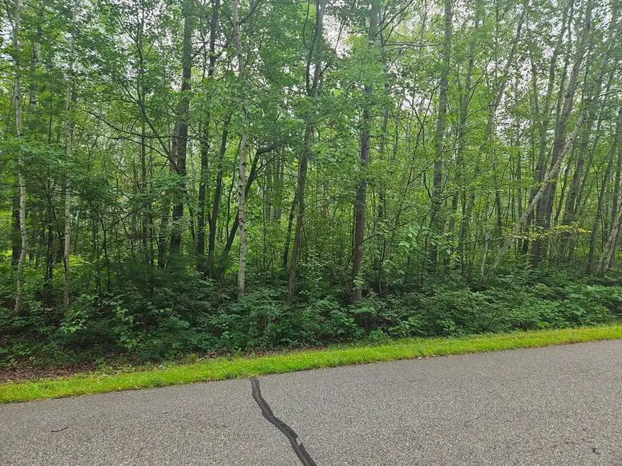 Lot 3 Blk 2 SW 1st Avenue, Grand Rapids, MN 55744 - Image #2