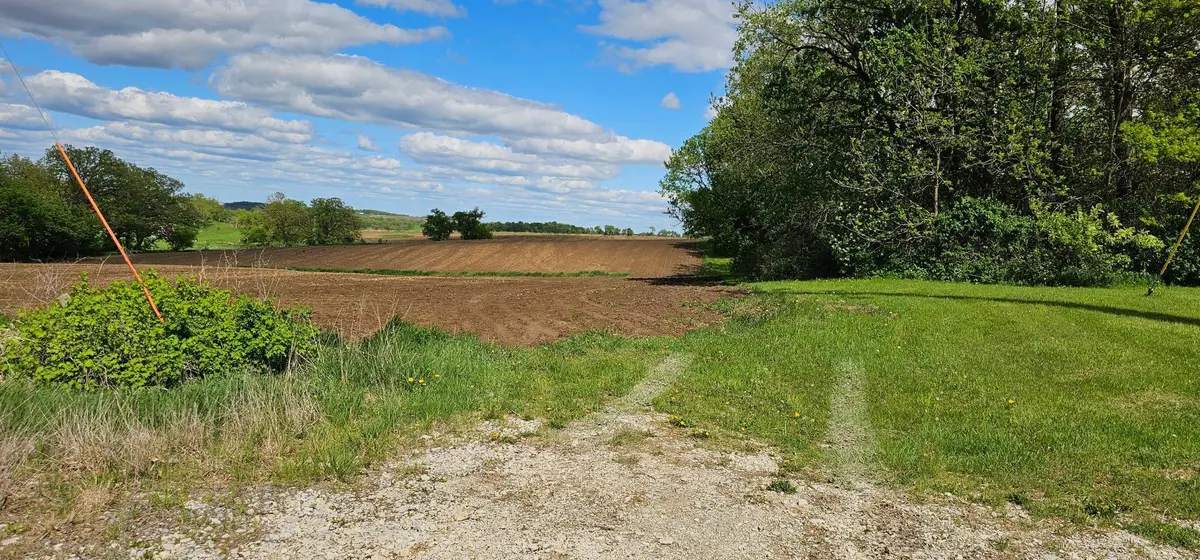 TBD 331st Avenue, Preston Township, MN 55939 - Image #1