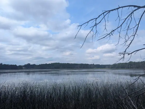 TBD Dobosenski Road, Windemere Twp, MN 55783