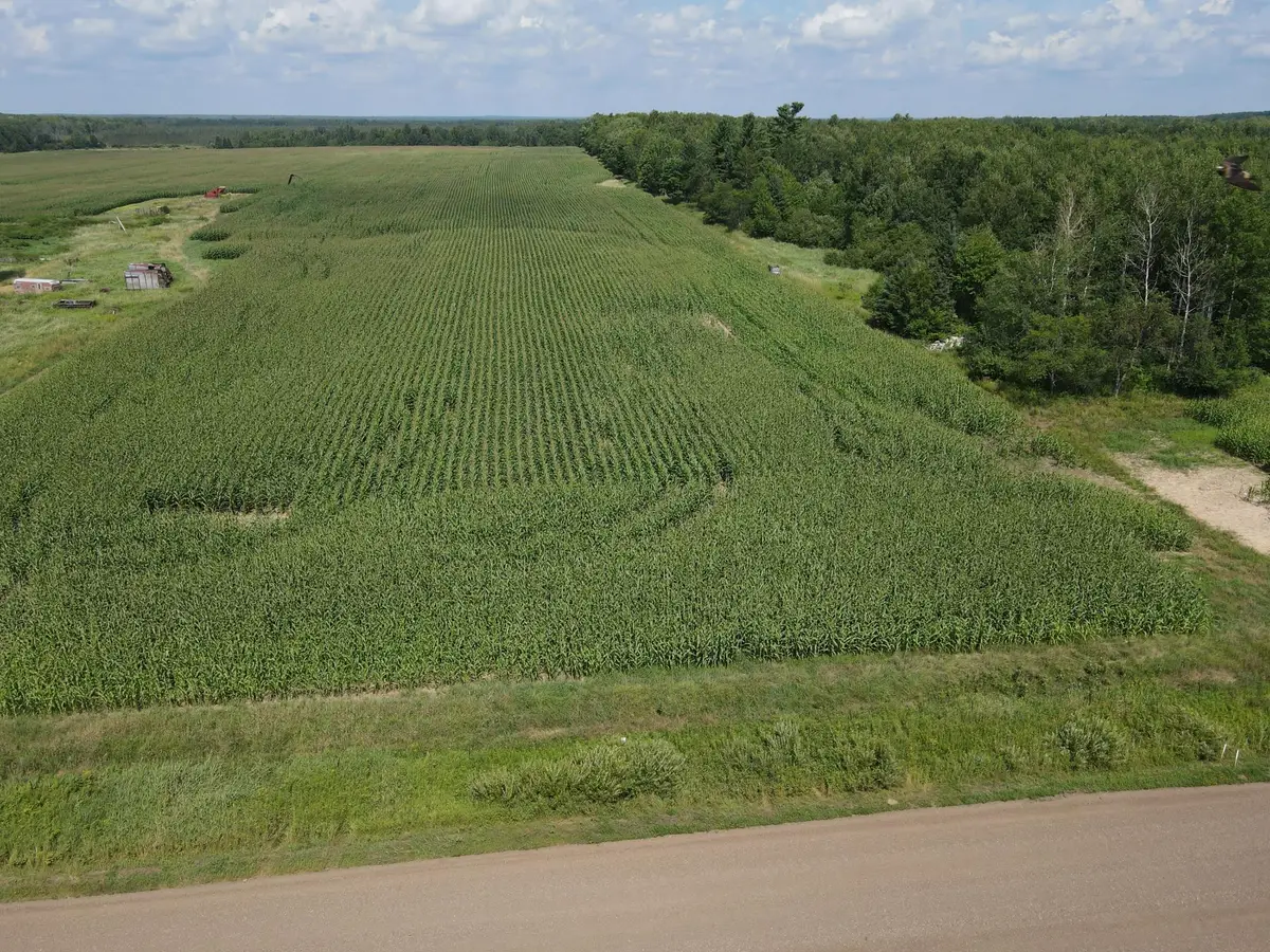 67TBD County Road M, Ogema Town, WI 54459 - Image #1