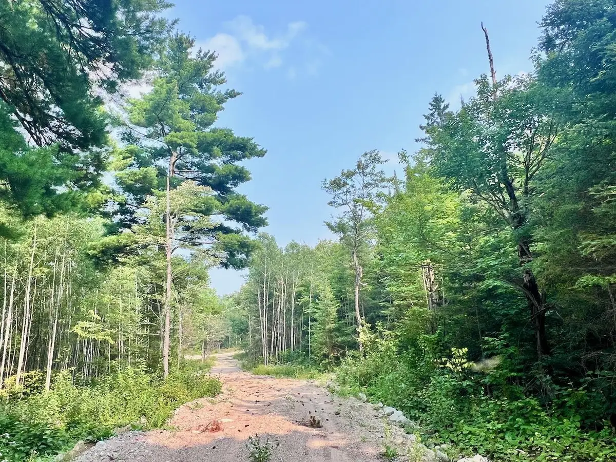 Parcel B Vermilion Lake Rd, Cook, MN 55723 - Image #1